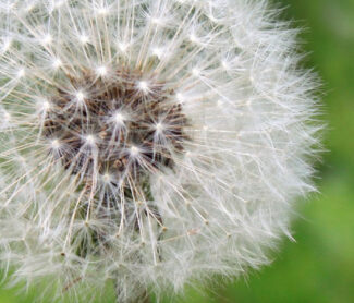 are-you-prepared-for-allergy-season